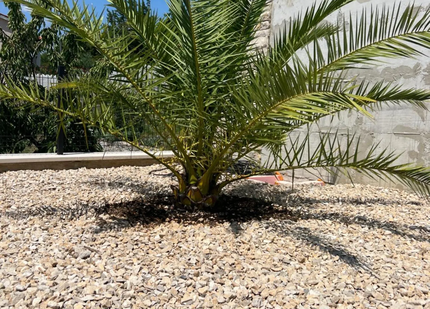 Brisa Wellness Apartments - Clothing Optional, Dfk, Fkk In May, June, September Labin